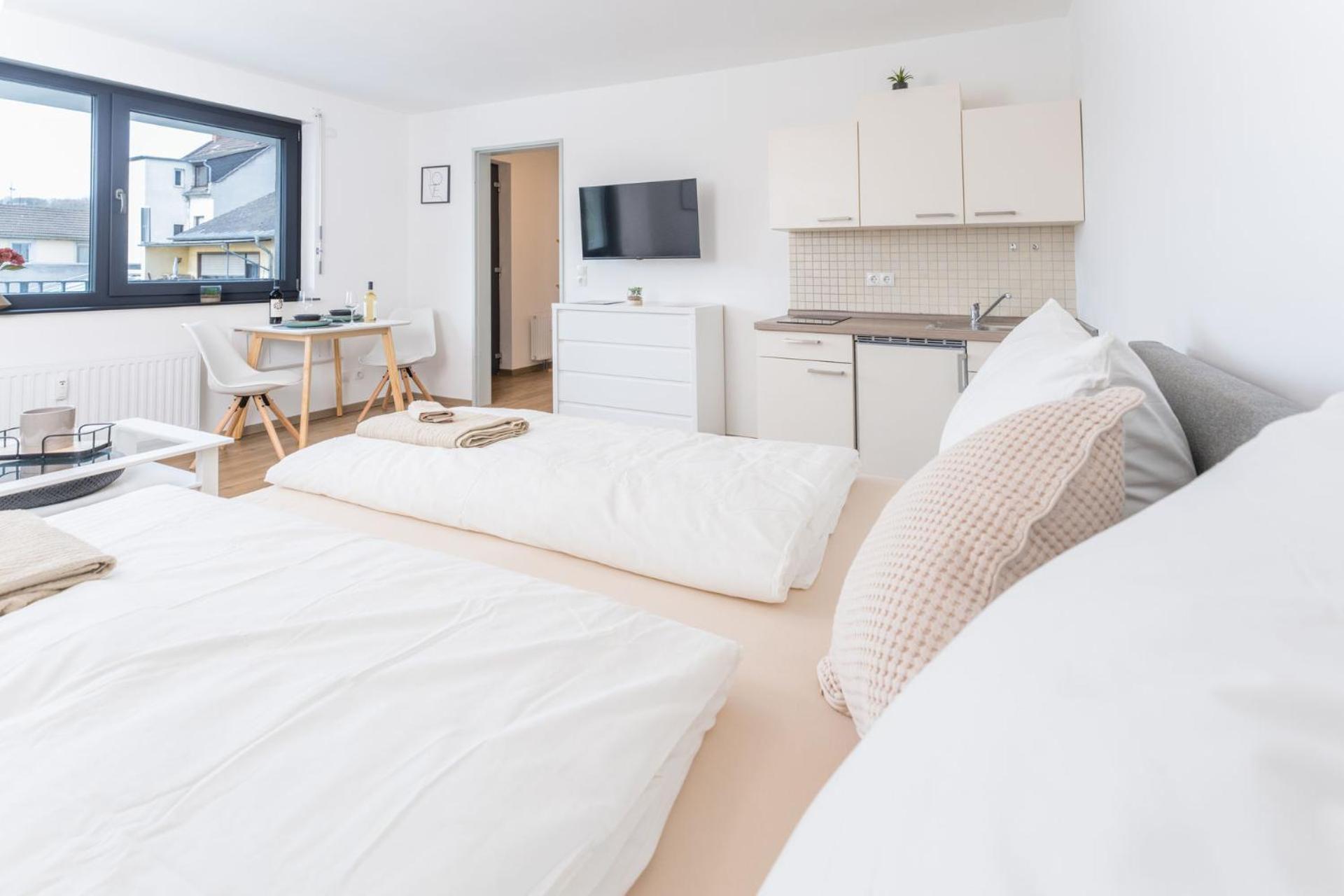 Modernes Apartment Mit Privatem Stellplatz Wenige Minuten Von Der Innenstadt & Mosel コブレンツ エクステリア 写真